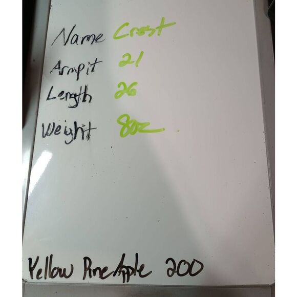 Crest Scrub Top Ladies Medium Blue Pink Floral Pastel - Picture 6 of 6